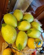 Frutta Martorana Pasticcerica Gordelli 3